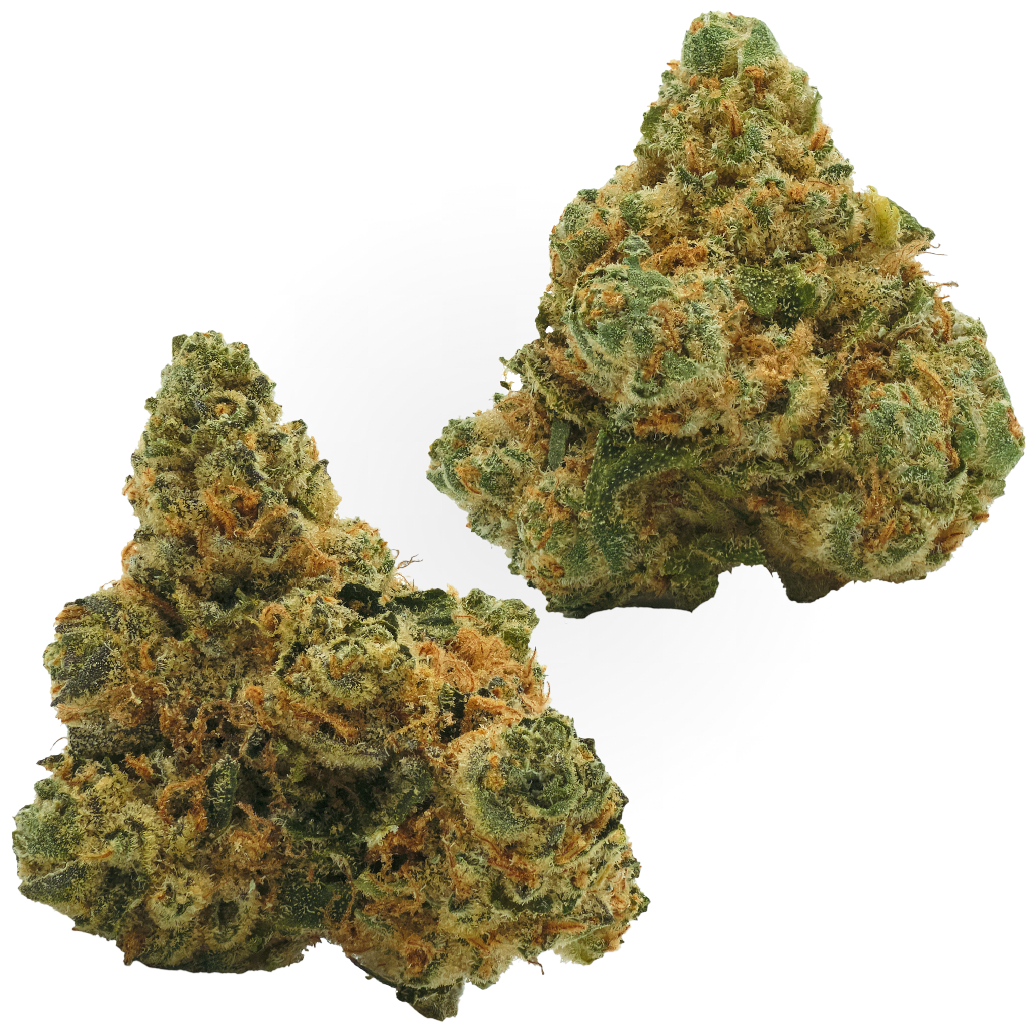 Photograph of product: First Class Funk - 28g