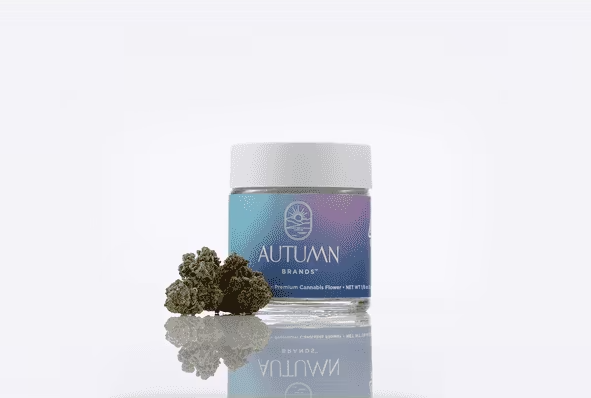 Photograph of product: Autumn Brands 3.5g Purple Push Pop