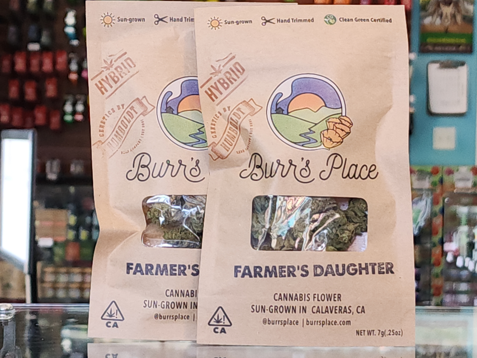 Photograph of product: Burr's Place | Farmer's Daughter (H) | 7g Sungrown Flower