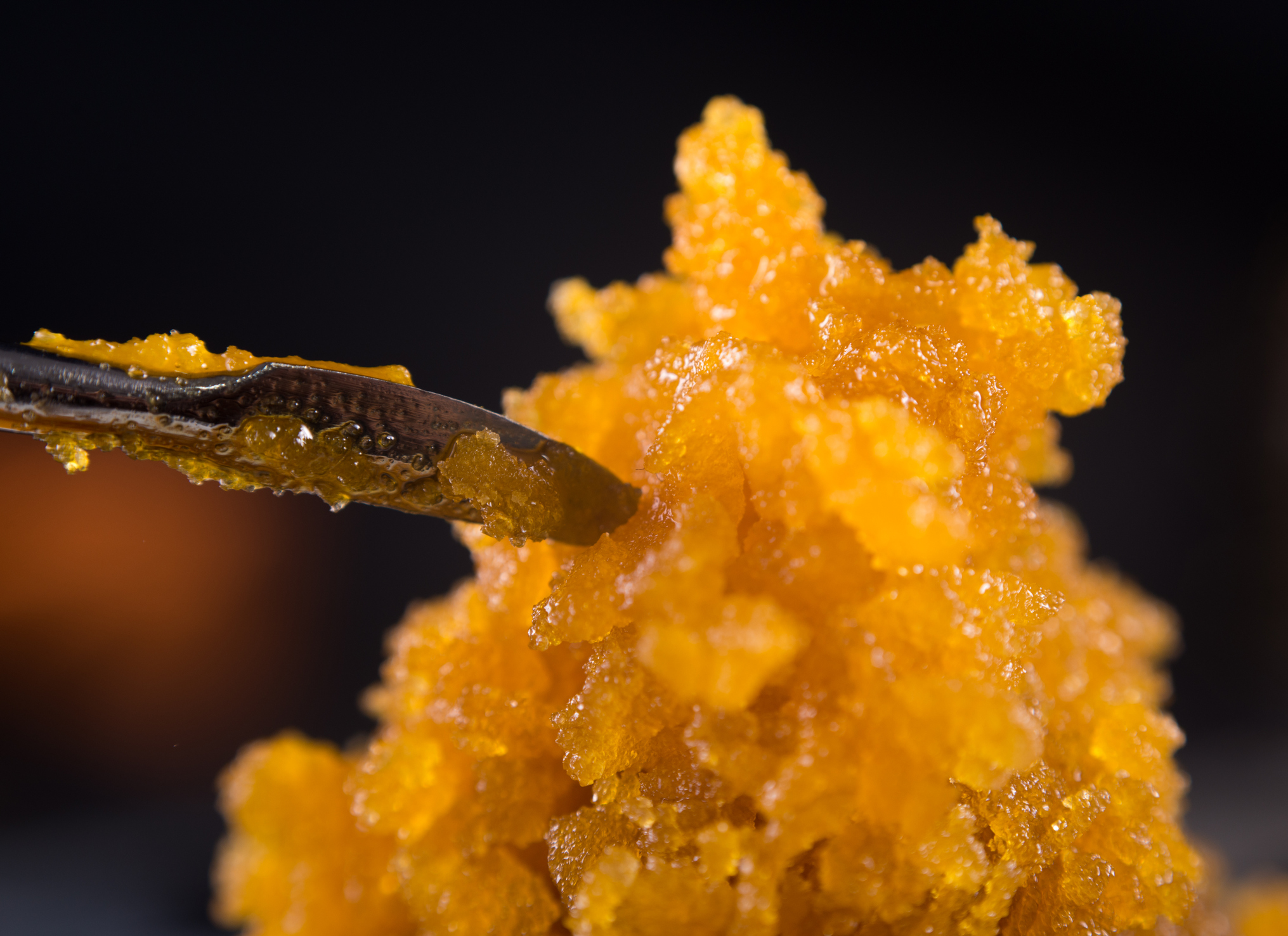 Photograph of product: UD | Purple Punch Oui'd Terp Sugar | 3.5g