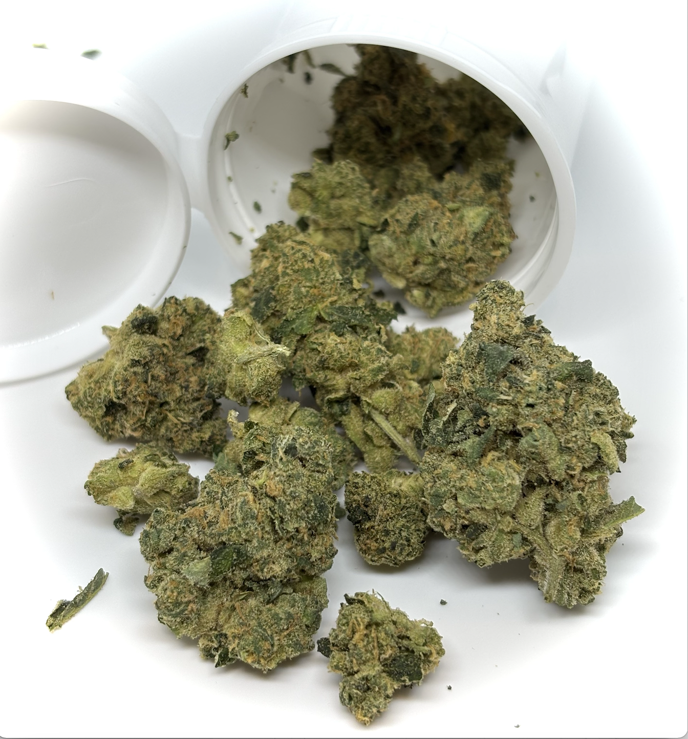 Photograph of product: Guava Lava- 7g || Culta