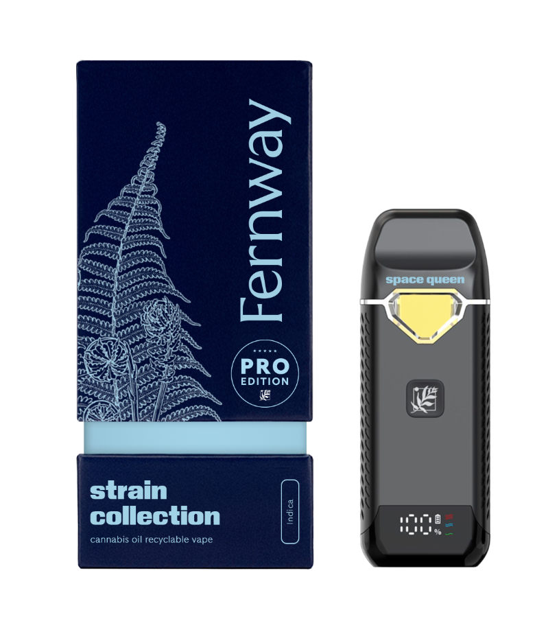 Photograph of product: Fernway Traveler Pro All-In-One Vape - Space Queen