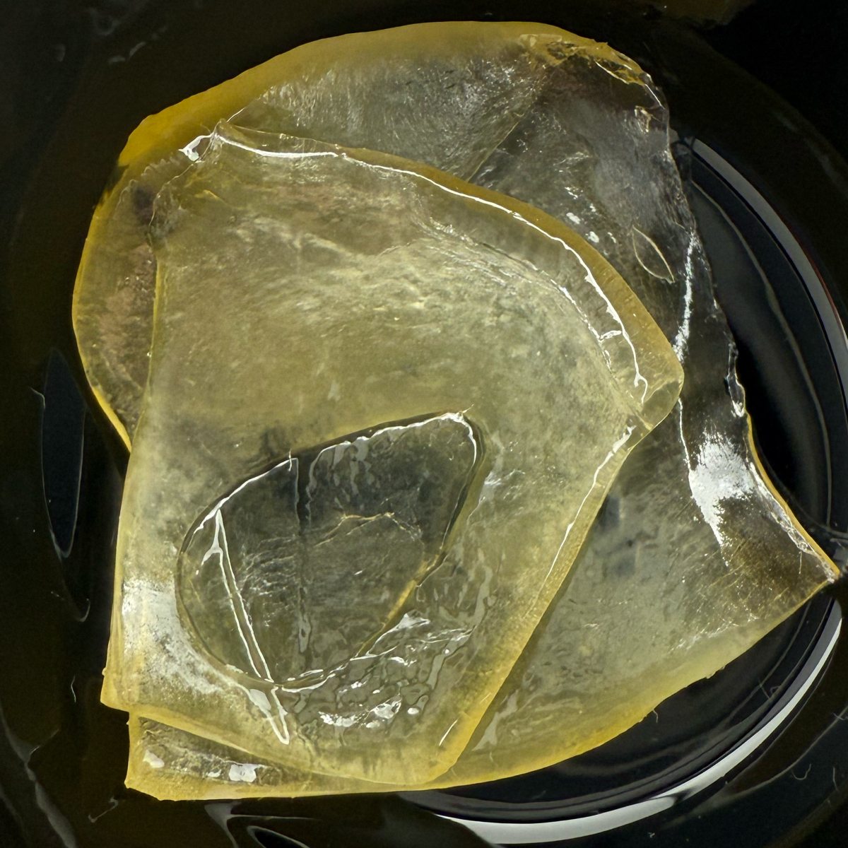 Photograph of product: Yogurt Slinger | Live Rosin | 1g