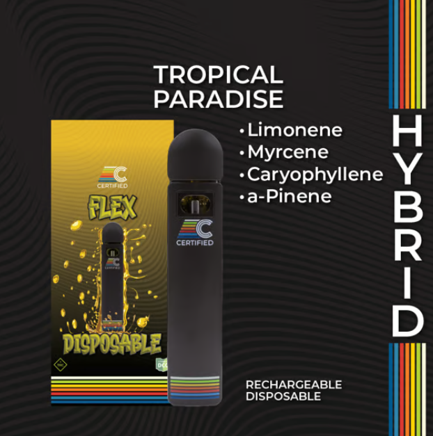 Photograph of product: Tropical Paradise Disposable Vape