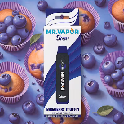 Photograph of product: Mr. Vapor - Disposable Vape - (1g) - **BLUEBERRY MUFFIN** (4/$45)