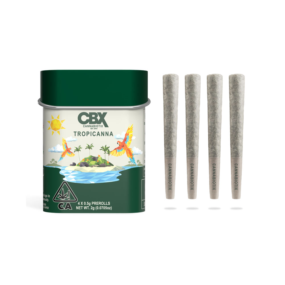 Photograph of product: TROPICANNA PRE-ROLL 4-PACK [2 G]