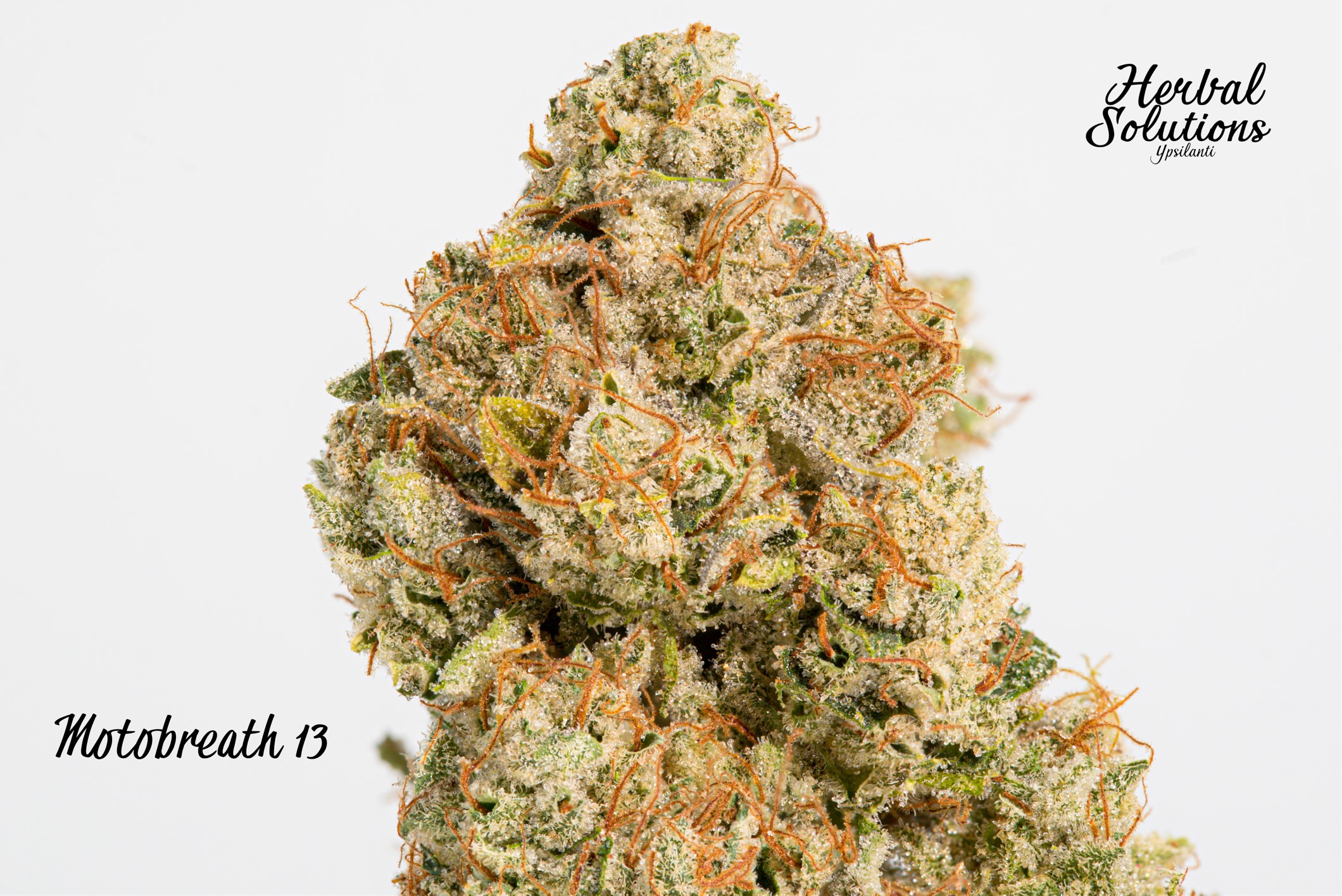 Photograph of product: Motorbreath #13 | Walker Wade Labs - 28g