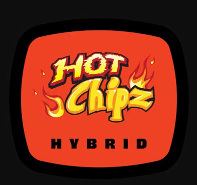 Photograph of product: Premium Shelf 93 Boyz Hot Chipz (H) - 3.5g