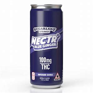 Photograph of product: Nectr Soda Blueberry Ginger Ale