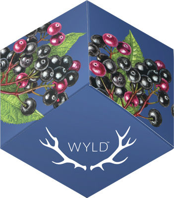Photograph of product: (2:1 CBN) Elderberry (Wyld)
