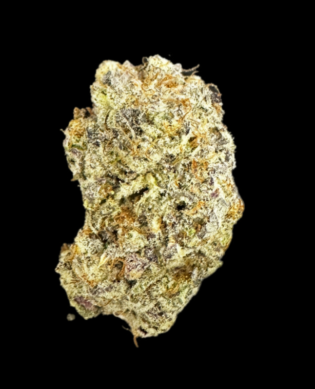Photograph of product: Root To Rise: Gyat - 28g