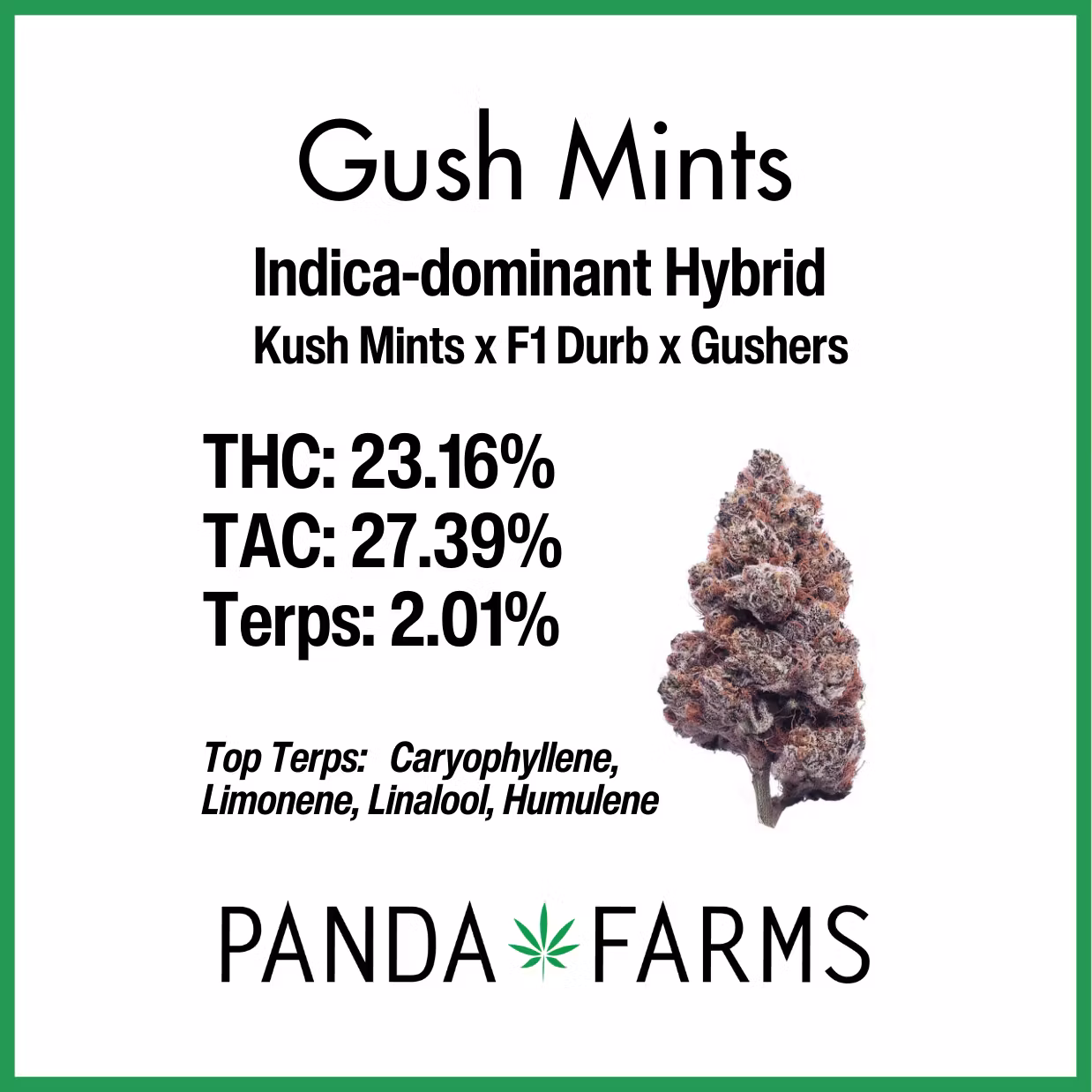 Photograph of product: Panda Farms - Gush Mints - 3.5G