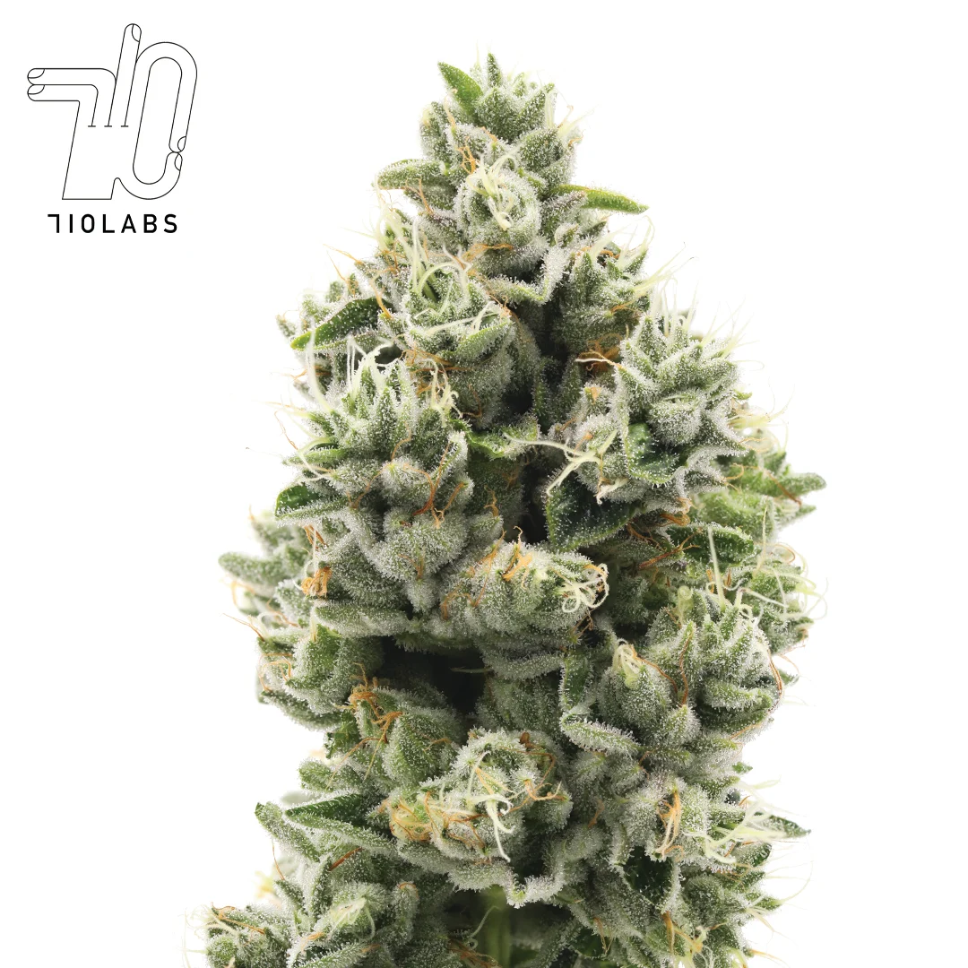 Photograph of product: Z - 3.5g