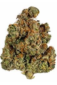 Photograph of Product: GLP | Northern Lights 3.5g