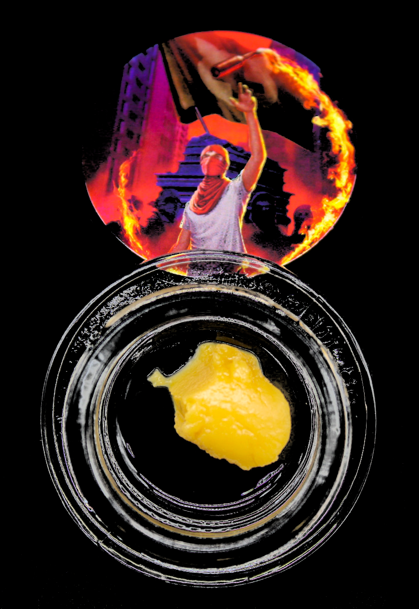 Photograph of Product: 1G MOLOTOV 21 LIVE RESIN