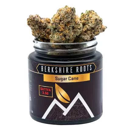 Photograph of Product: Berkshire Roots | Sugar Cane | Flower | 3.5g