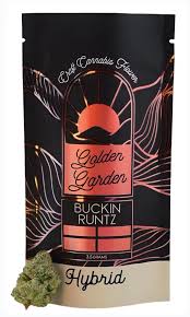 Photograph of product: Golden Garden | Buckin Runtz (H) | Flower | 3.5g