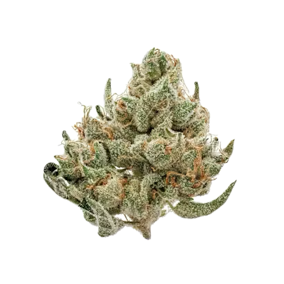 Photograph of product: Smarties Flower by Trap House - 28g