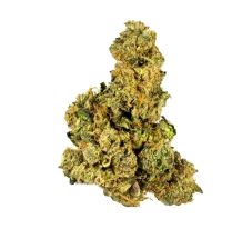 Photograph of product: House Of Sacci | Hazmat | Flower Jar - 14g