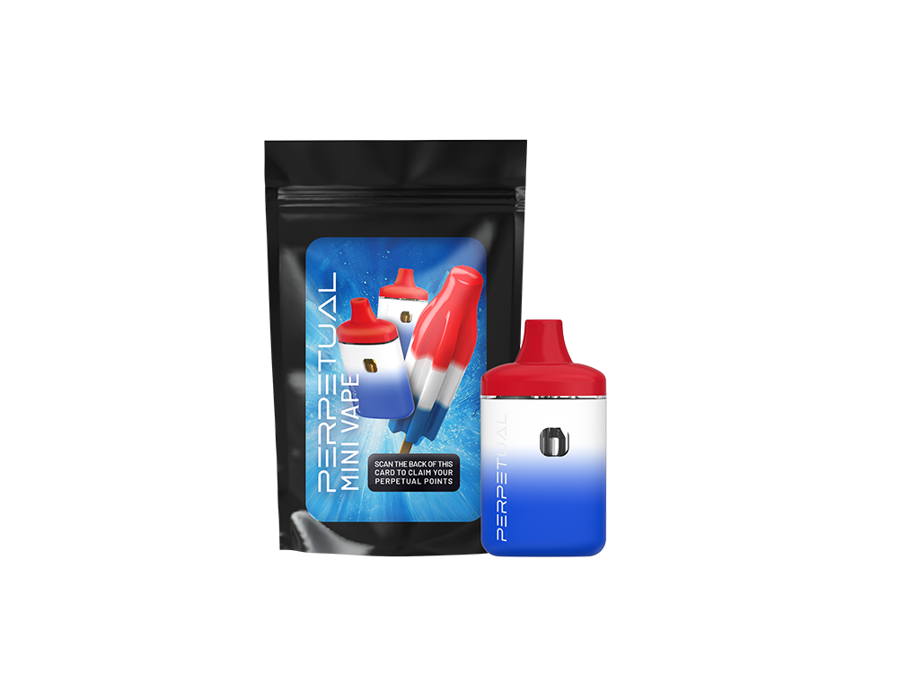 Photograph of product: Perpetual | 1g Disposable | Rocket Pop