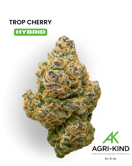 Photograph of product: Agri-Kind - Trop Cherry - Flower - 7g