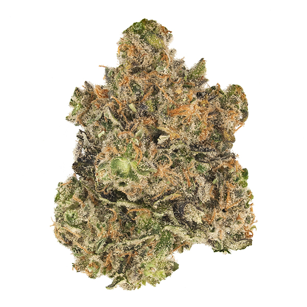 Photograph of product: Pruf Cultivar Papaya Sorbet - 28g