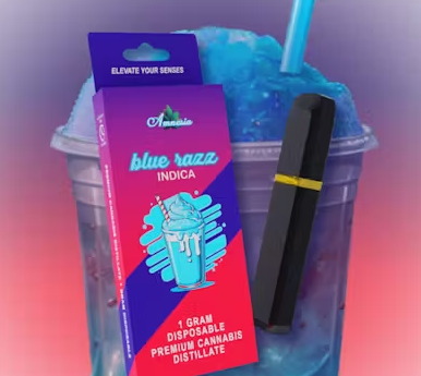 Photograph of product: Amnesia - Blue Razz - 1g Disposable