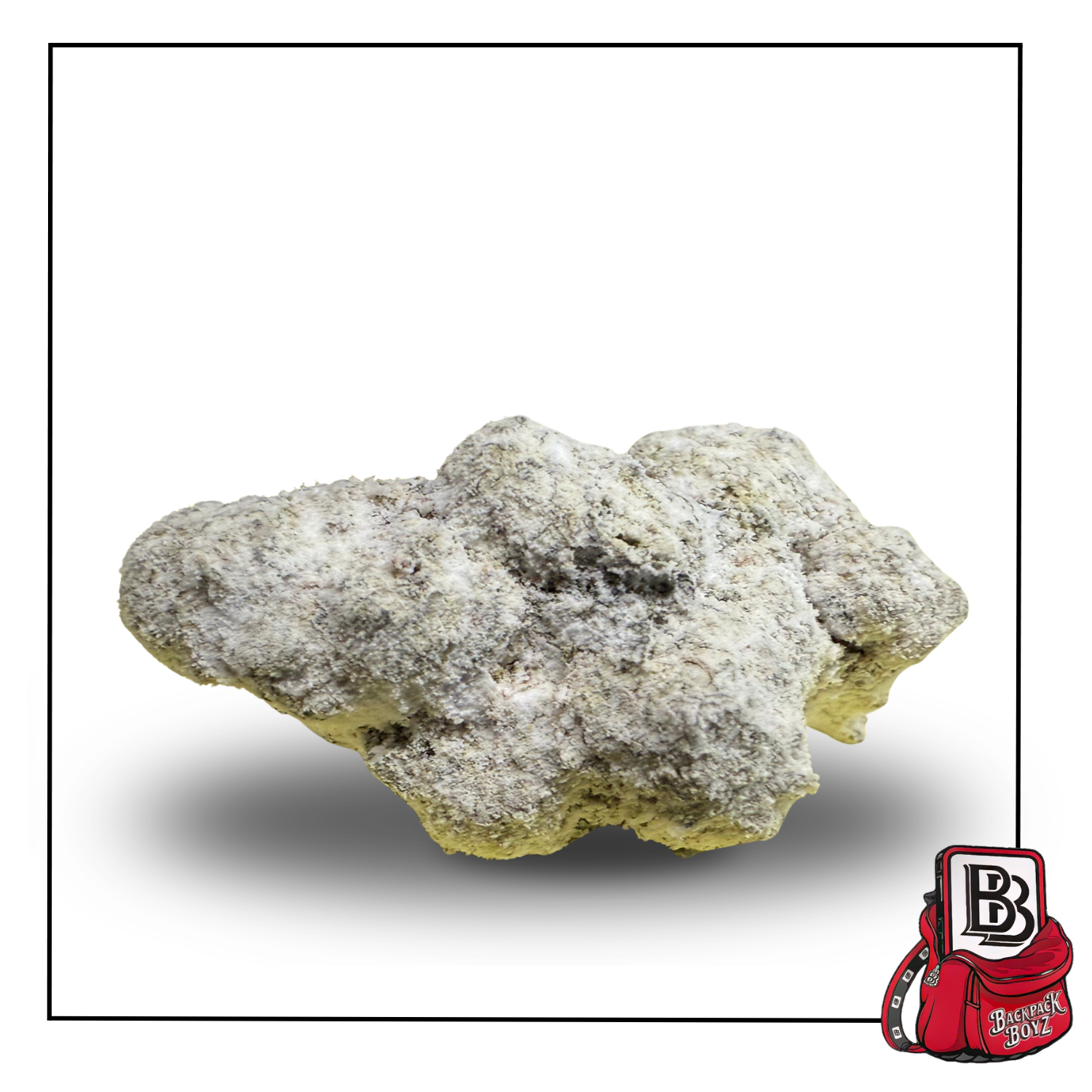 Photograph of product: Snowballs Purple Alien - TH-ouia Infused Flower