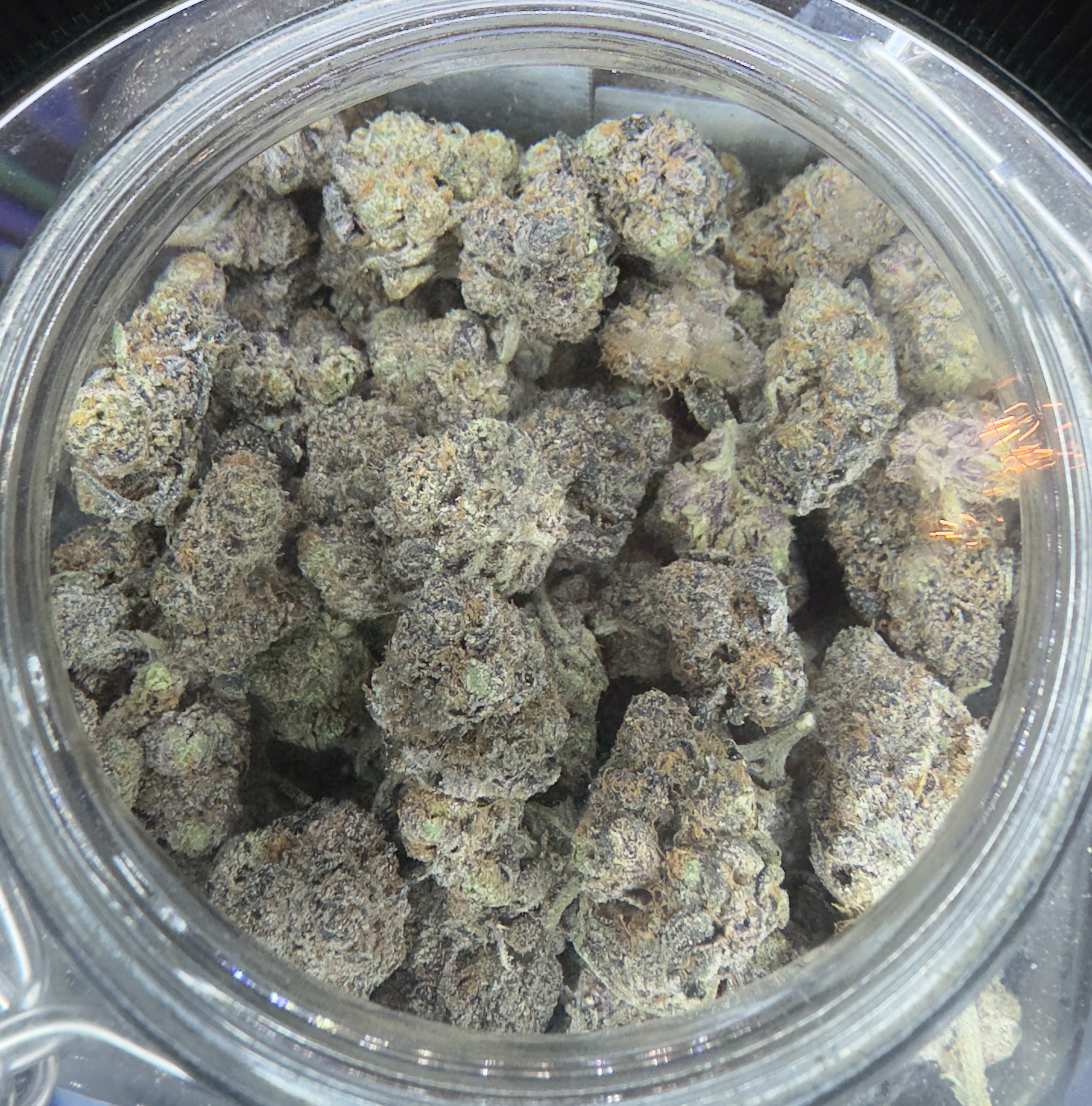 Photograph of product: Gelato Pound Cake - 14g