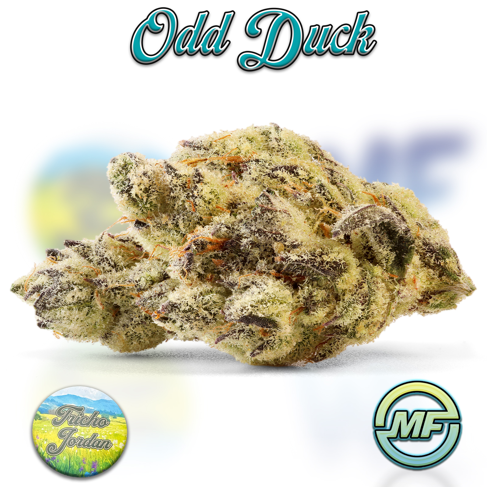 Photograph of product: Odd Duck | Tricho Jordan #7 | Pre-Packaged Half Ounce | 14g