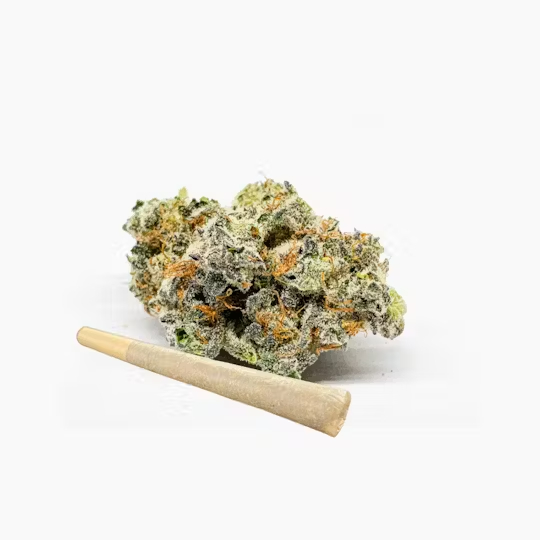 Photograph of product: PRJ Single | Singapore Sling