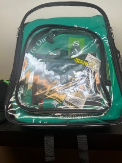 Photograph of product: 420 Backpack