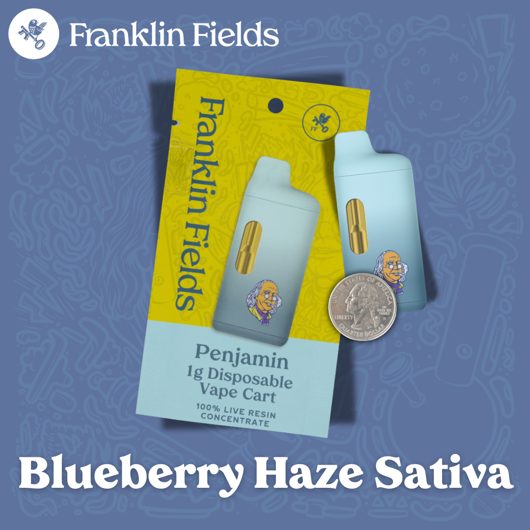 Photograph of product: Blueberry Haze | Oui'd Live Resin Disposable | Franklin Fields
