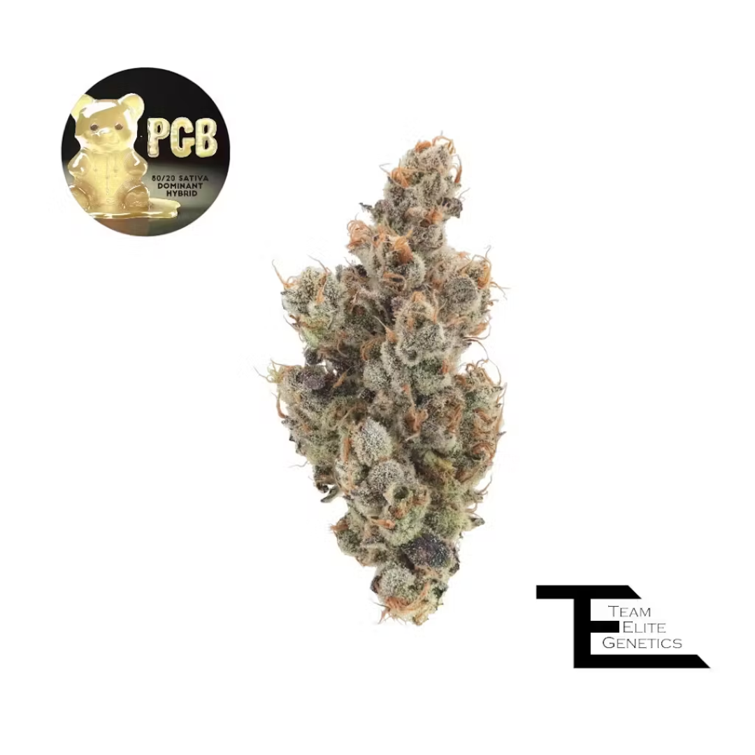 Photograph of product: Team Elite Genetics - PGB (S-Hybrid) Premium Flower - 14g