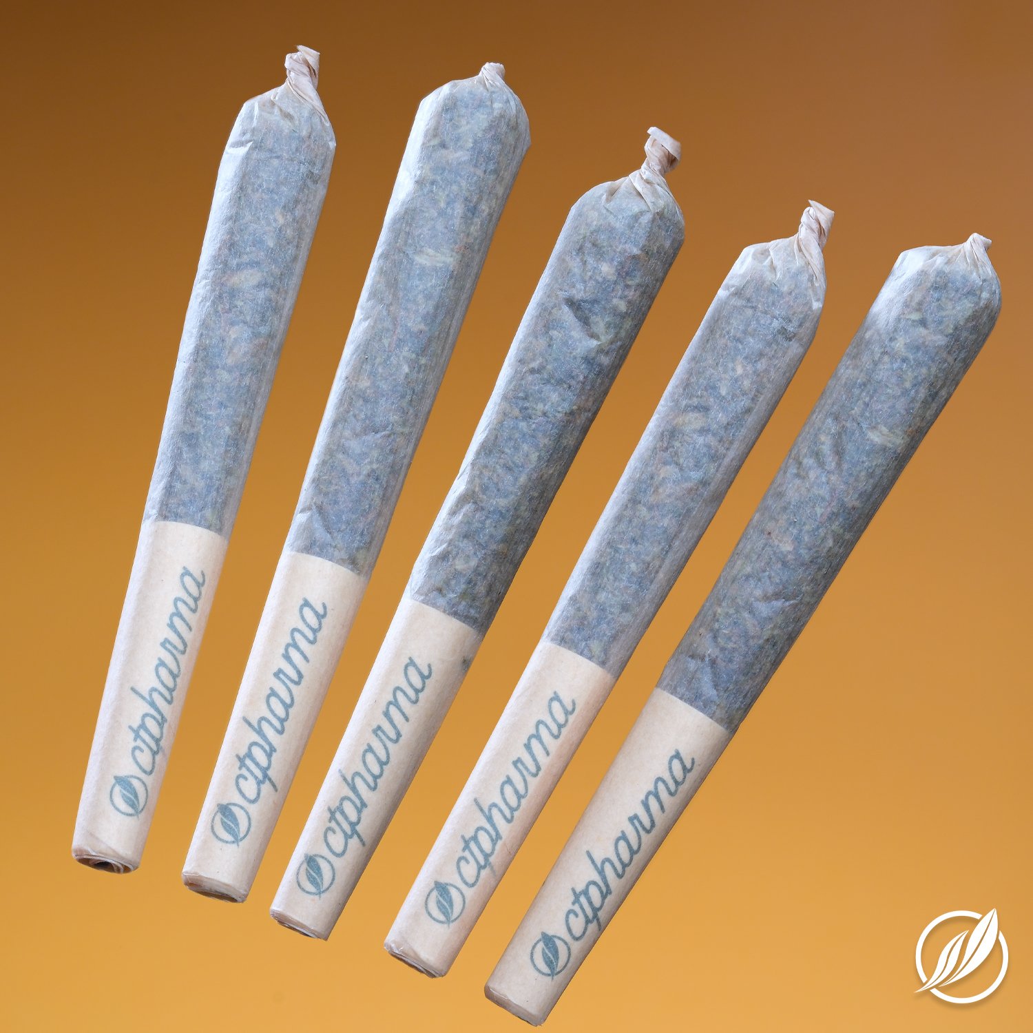 Photograph of product: Mendo Cooler Shorties Pre Roll 5 Pack T27.11 (2-26046)