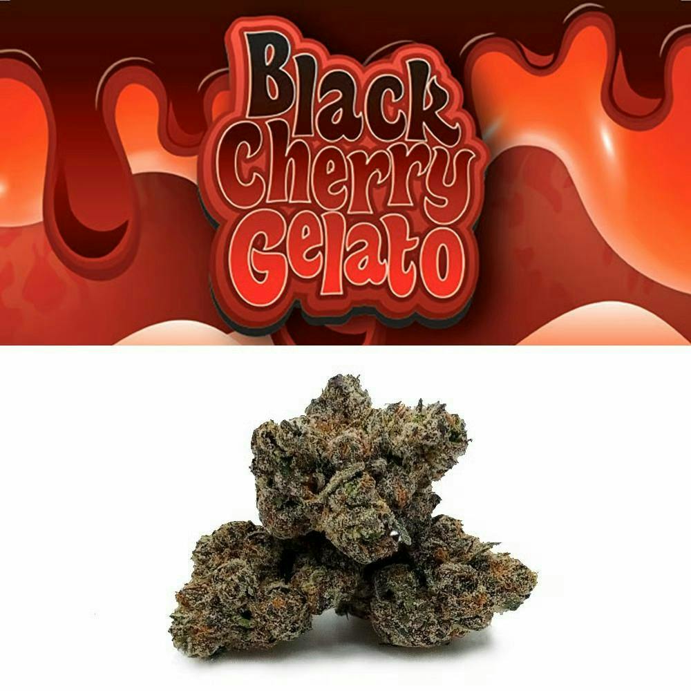 Photograph of product: BLACK CHERRY GELATO 14G FLOWER