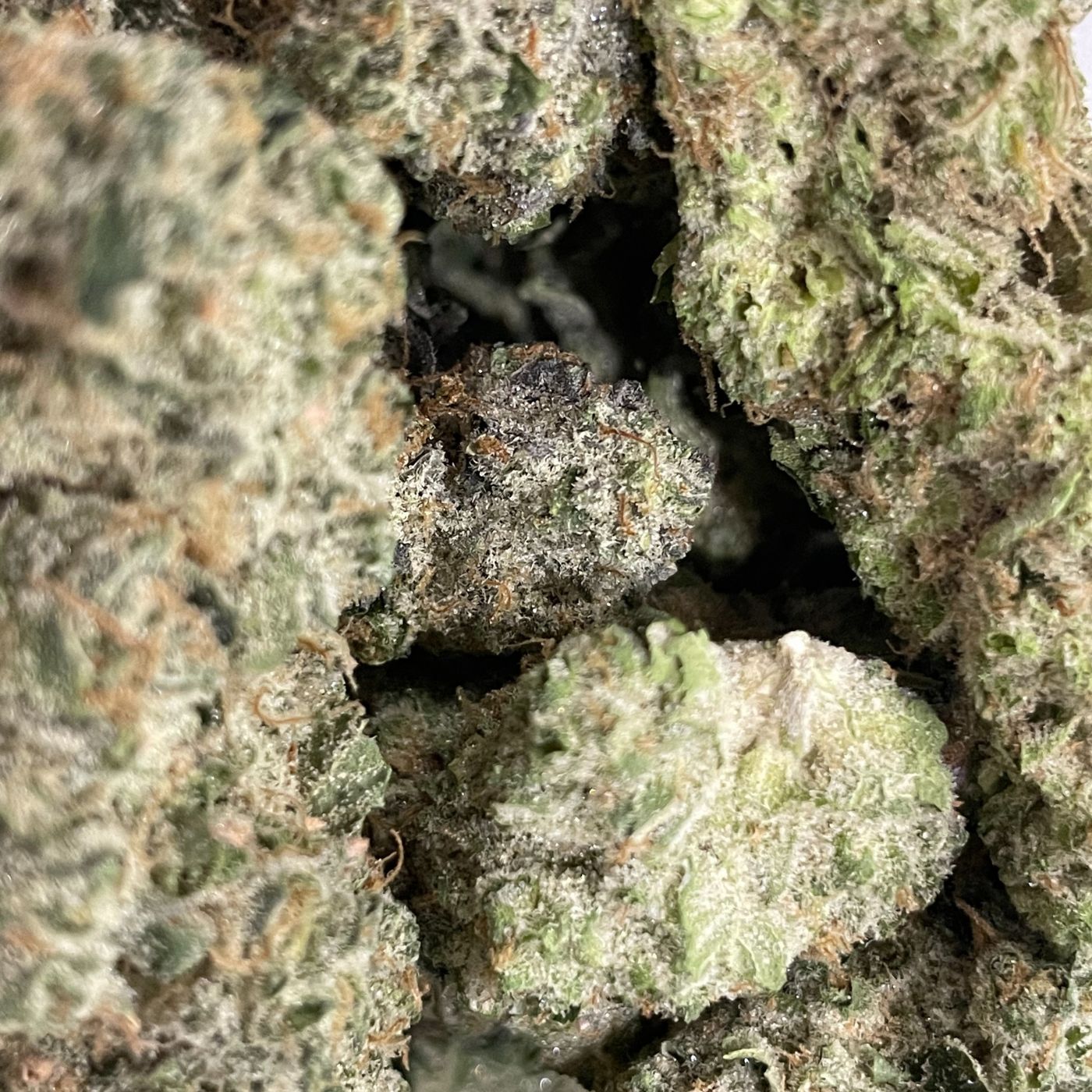 Photograph of product: Fire Tier Deli - Greazy Runtz - 1g