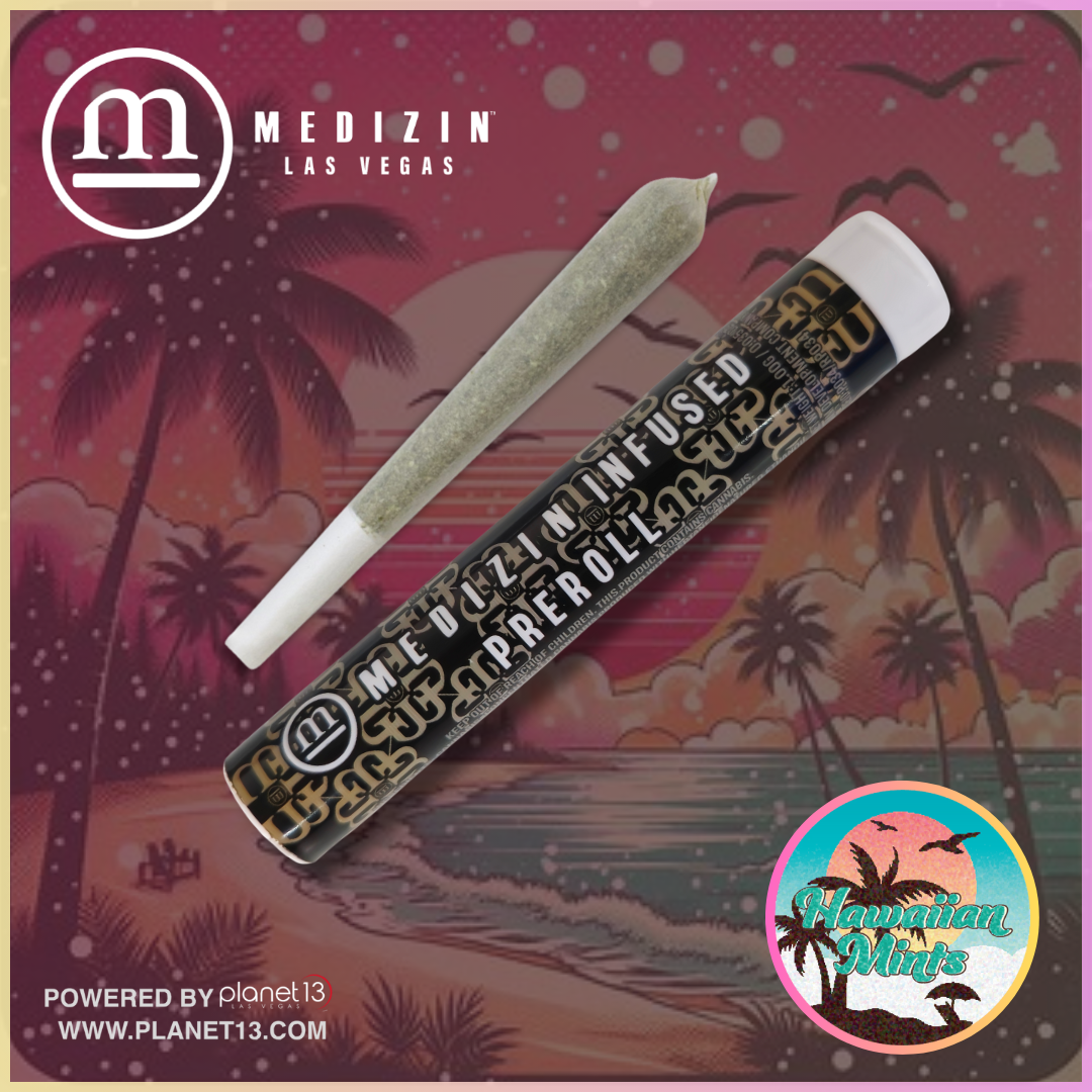 Photograph of product: Hawaiian Mints 1g Infused Preroll