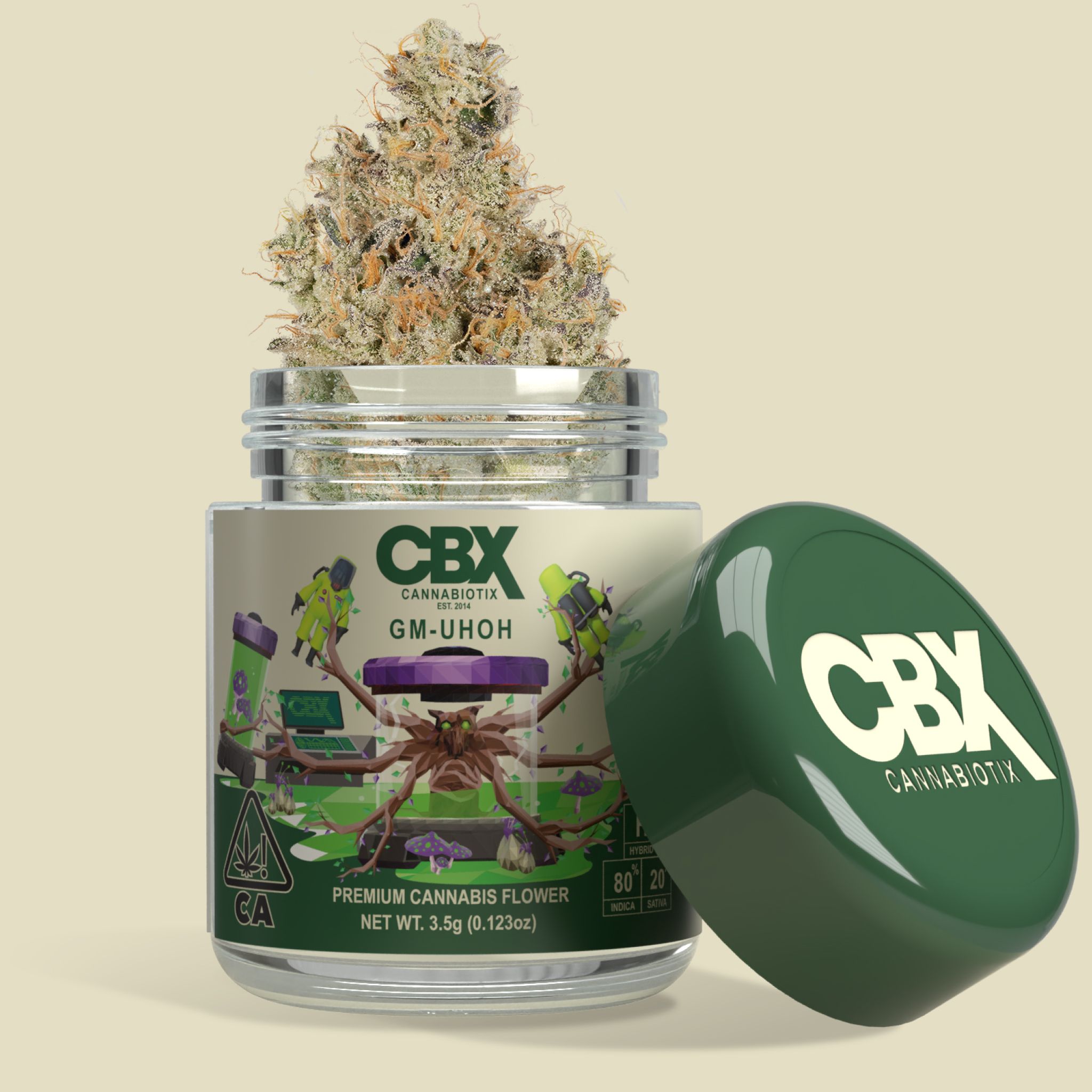 Photograph of product: CBX | Flower 3.5g | H | GM-UHOH