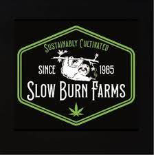 Photograph of product: Slow Burn Farms - 1.5g Infused King Palm Blunt - - Oui'd