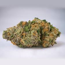 Photograph of product: OZ - Raunchy Runtz - (Oui'd Hybrid) - 24.49%TH-oui (+/-10%) - Baked Turtle - 9016 - 28g