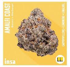 Photograph of product: INSA | AMALFI COAST (I) - 3.5g
