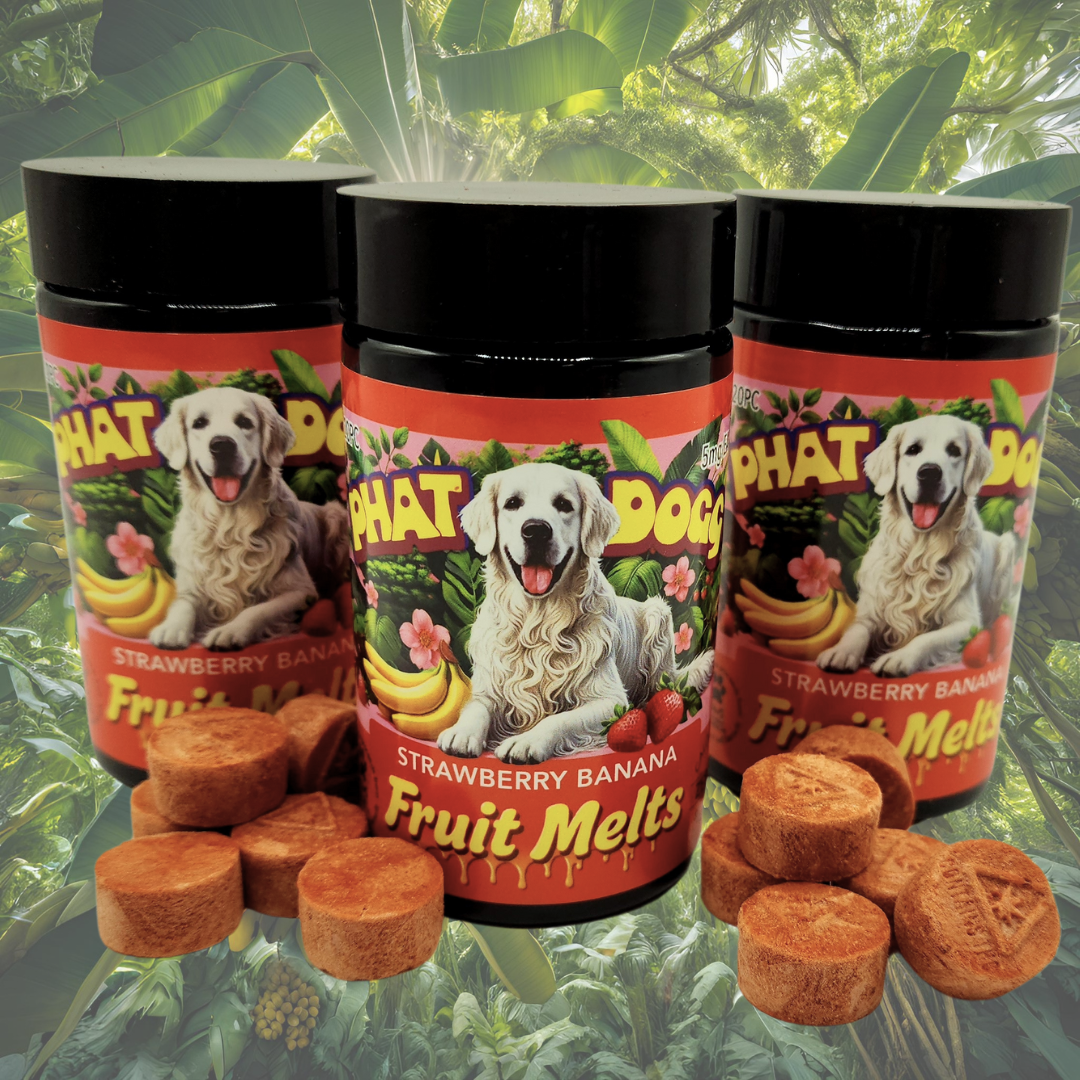 Photograph of product: Strawberry Banana au chocolat Rosin Fruit Melts 20pk | 100mg
