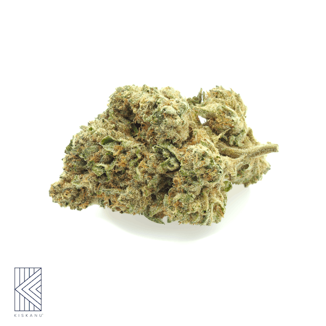 Photograph of product: Ice Cream Cake Select (1oz) - Ice Cream Cake 1oz Select