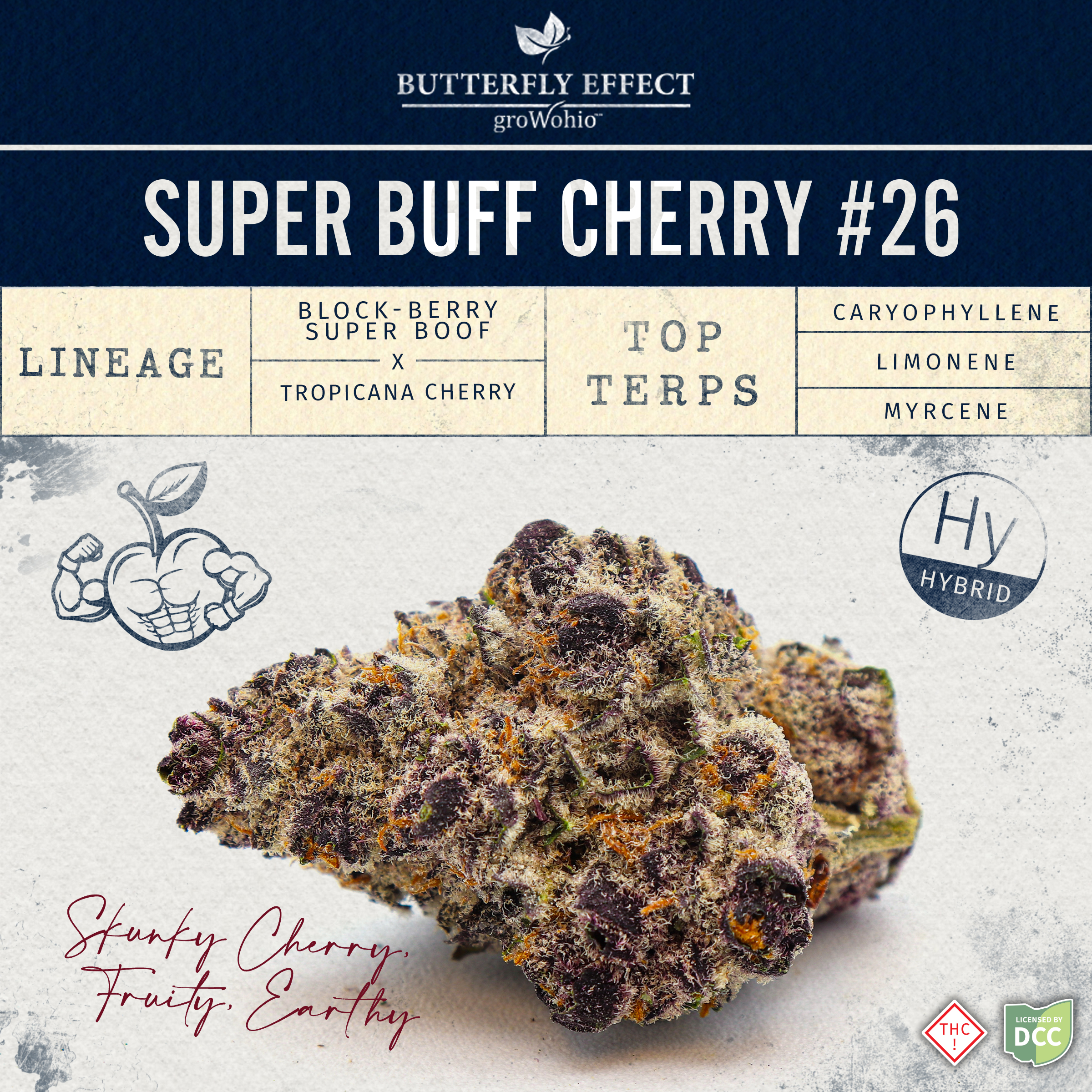 Photograph of product: Super Buff Cherry #26 | 2.83g