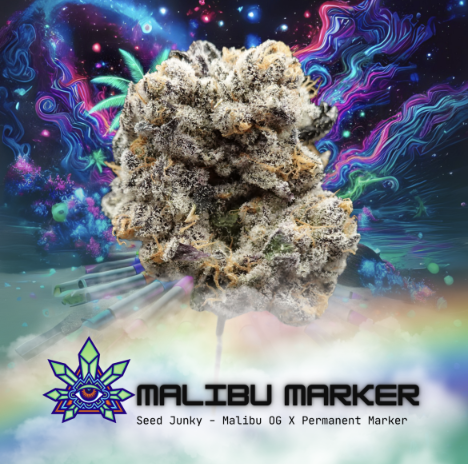 Photograph of product: Emerald Visions  | Malibu Marker | Pre-Packed 3.5g