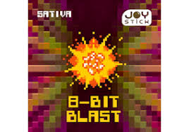 Photograph of product: 8-Bit Blast 1g-S