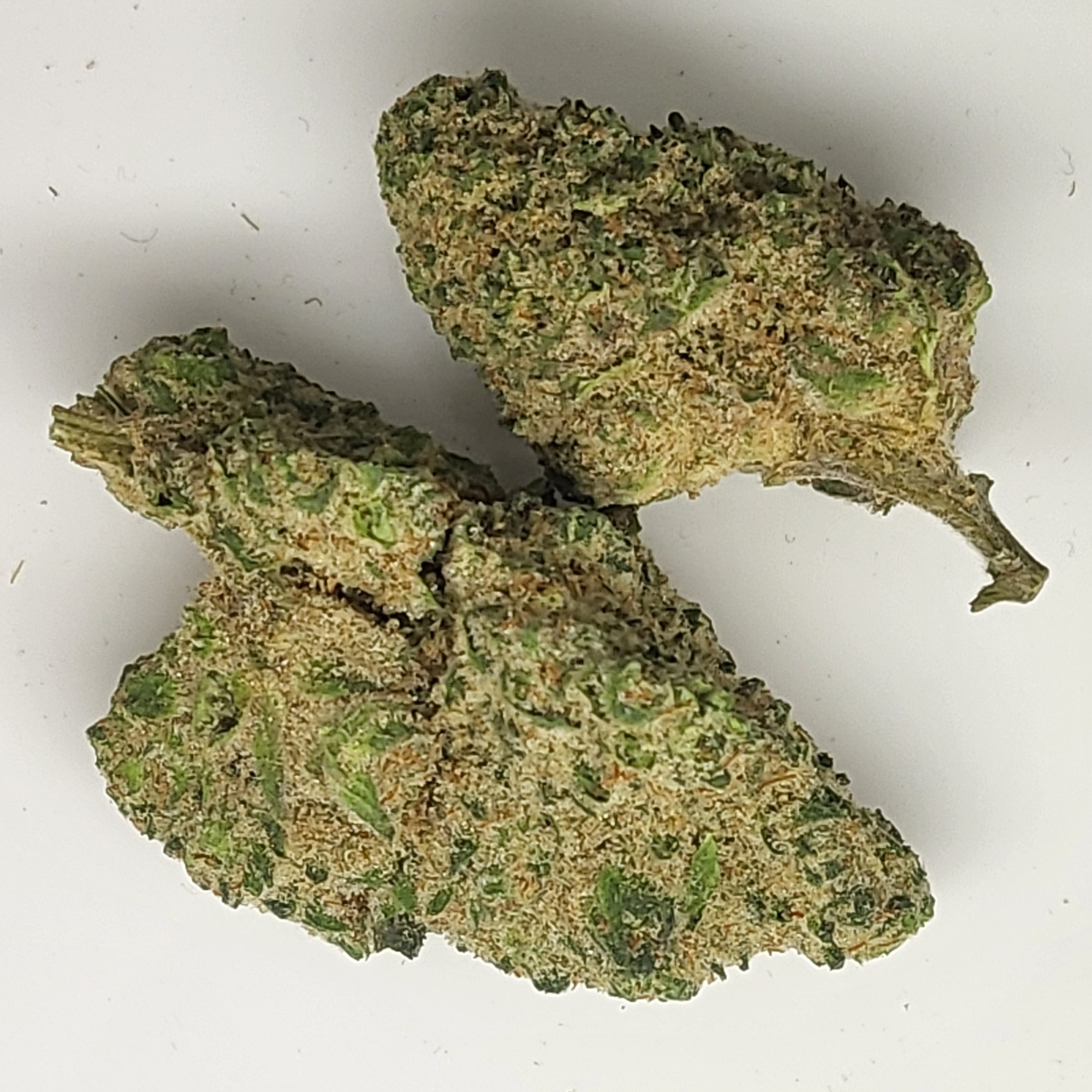Photograph of product: Jungle Pie 1g Flower 29.85% TH-oui by Redoubt Reefer