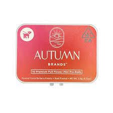 Photograph of product: 10PK HYBRID - 