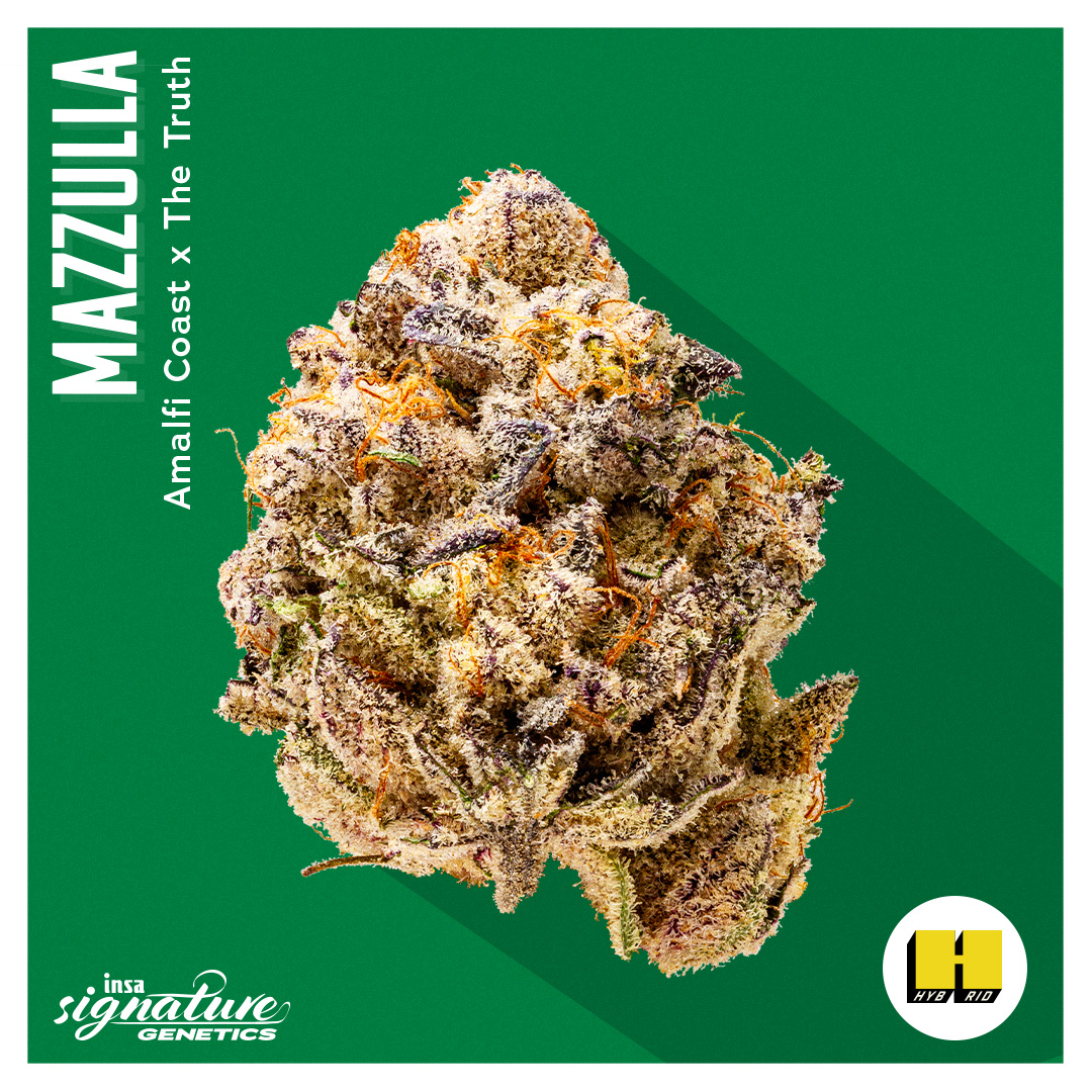 Photograph of product: Flower - Mazzulla - 3.5g